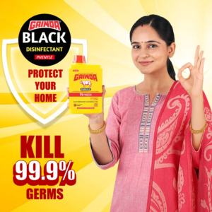 Gainda Phenyl (Black) - 1ltr