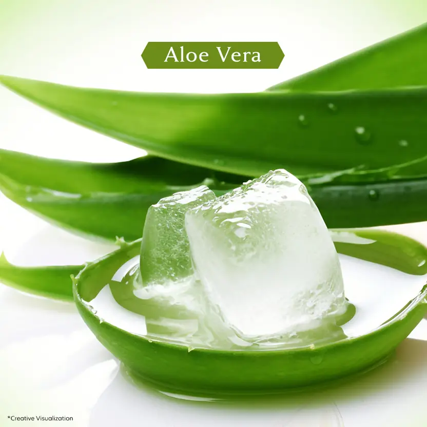 Vivel Aloe Vera Soap 150g (Pack of 4) - Image 3